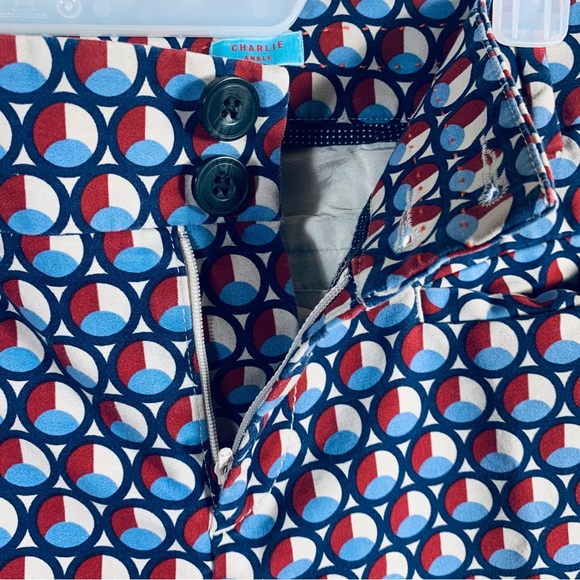 Anthropologie Cartonnier Charlie Ankle pants w/ geometric pattern. Size 12 - Picture 9 of 10